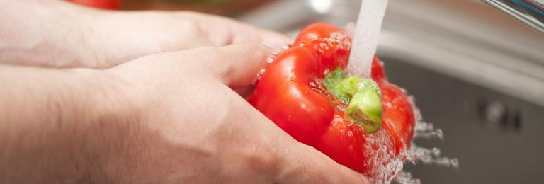 Washing Food