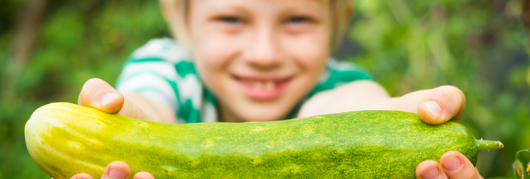 Cucumber ship
