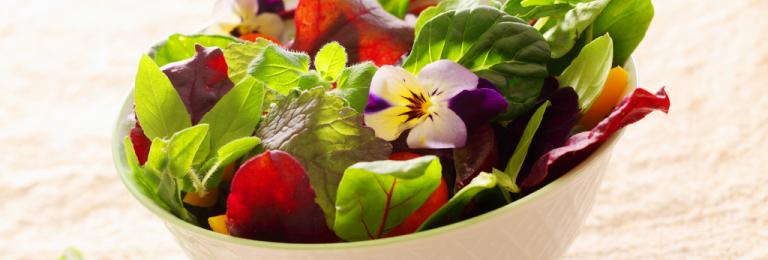 Summer Salad